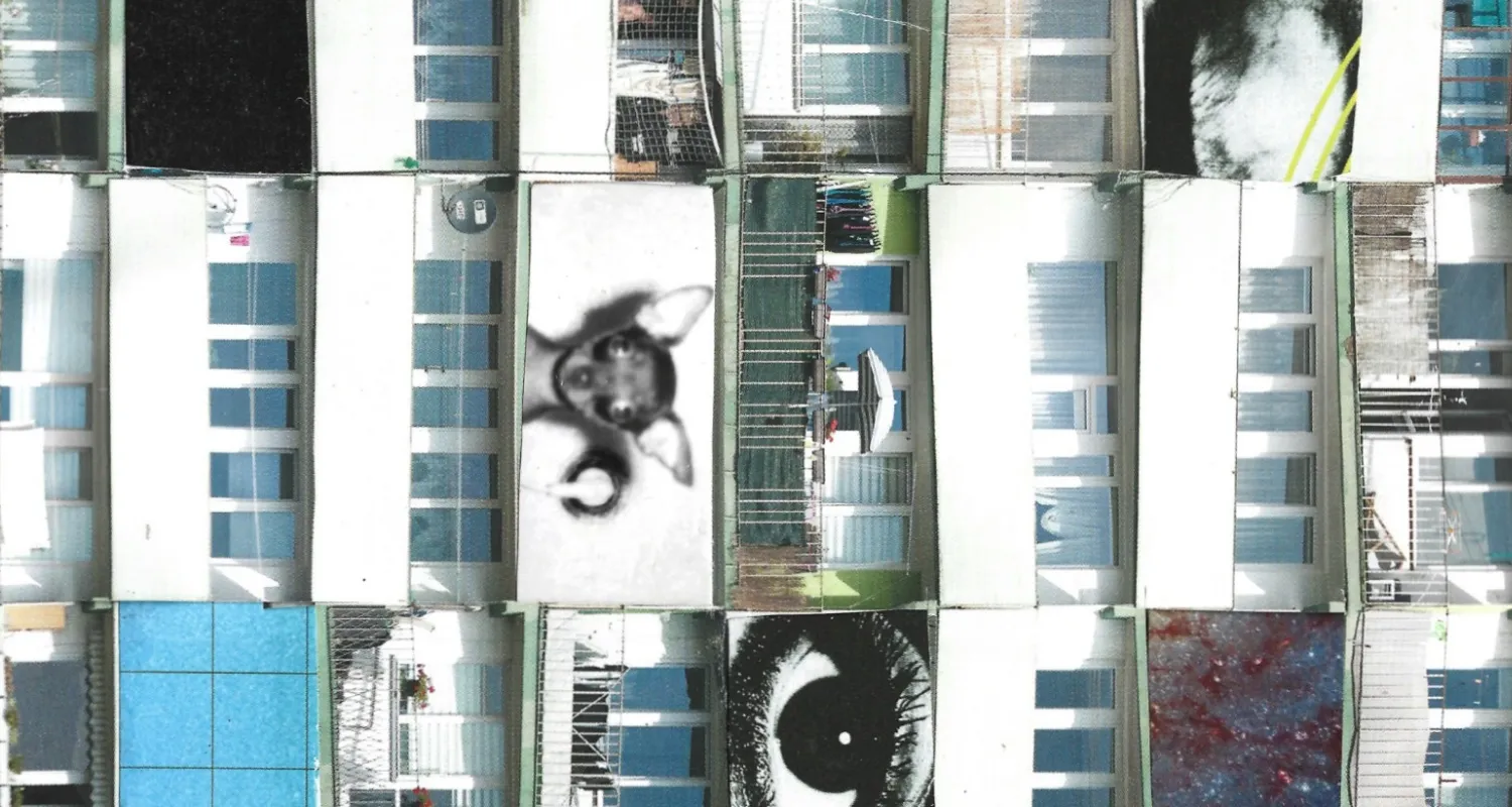 Ilustracja do tekstu