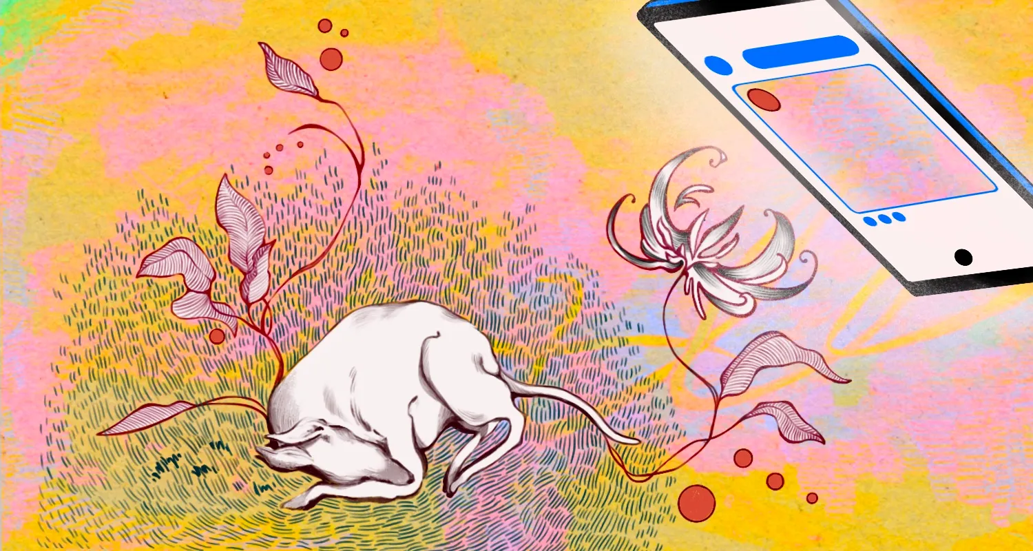 Ilustracja do tekstu
