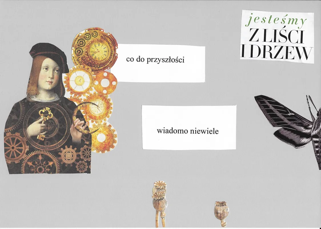 Ilustracja do tekstu