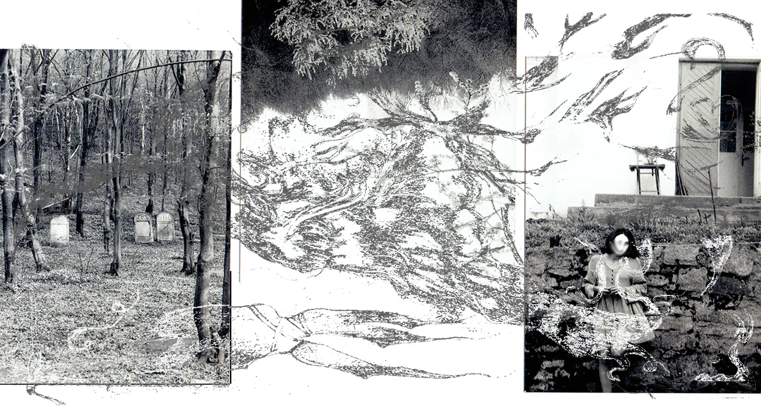 Ilustracja do tekstu