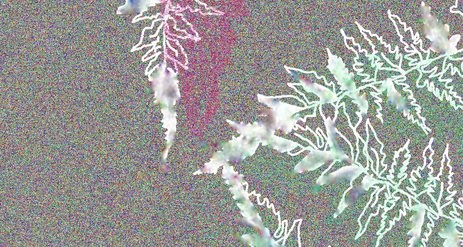 Ilustracja do tekstu