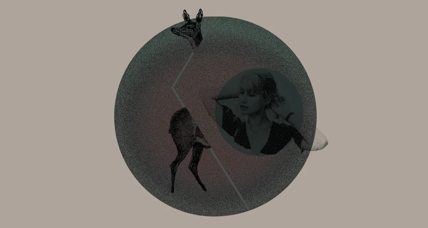 Ilustracja do tekstu