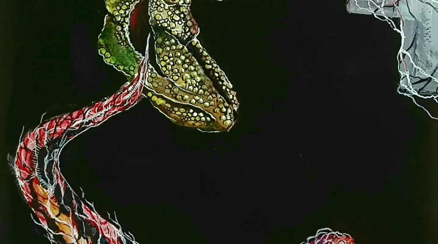 Ilustracja do tekstu