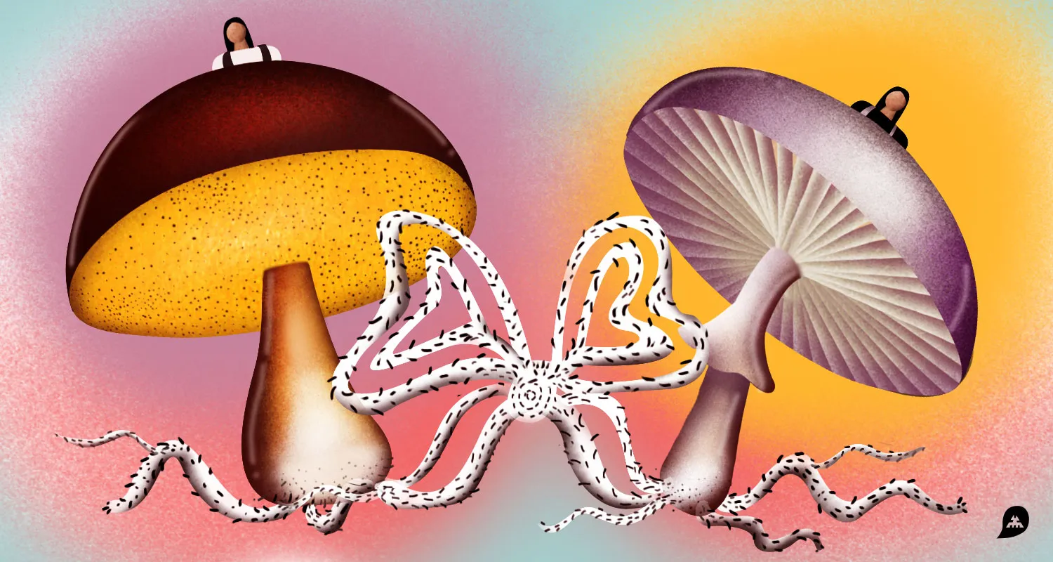 Ilustracja do tekstu