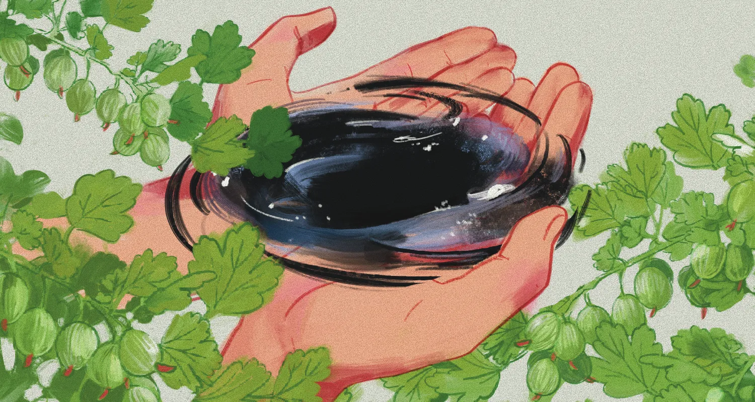 Ilustracja do tekstu
