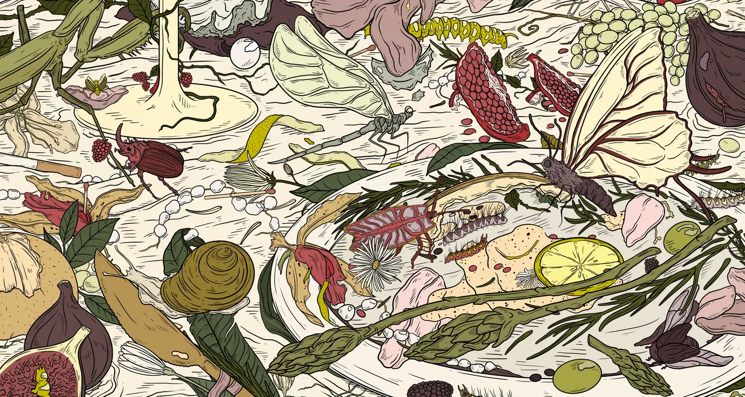 Ilustracja do tekstu