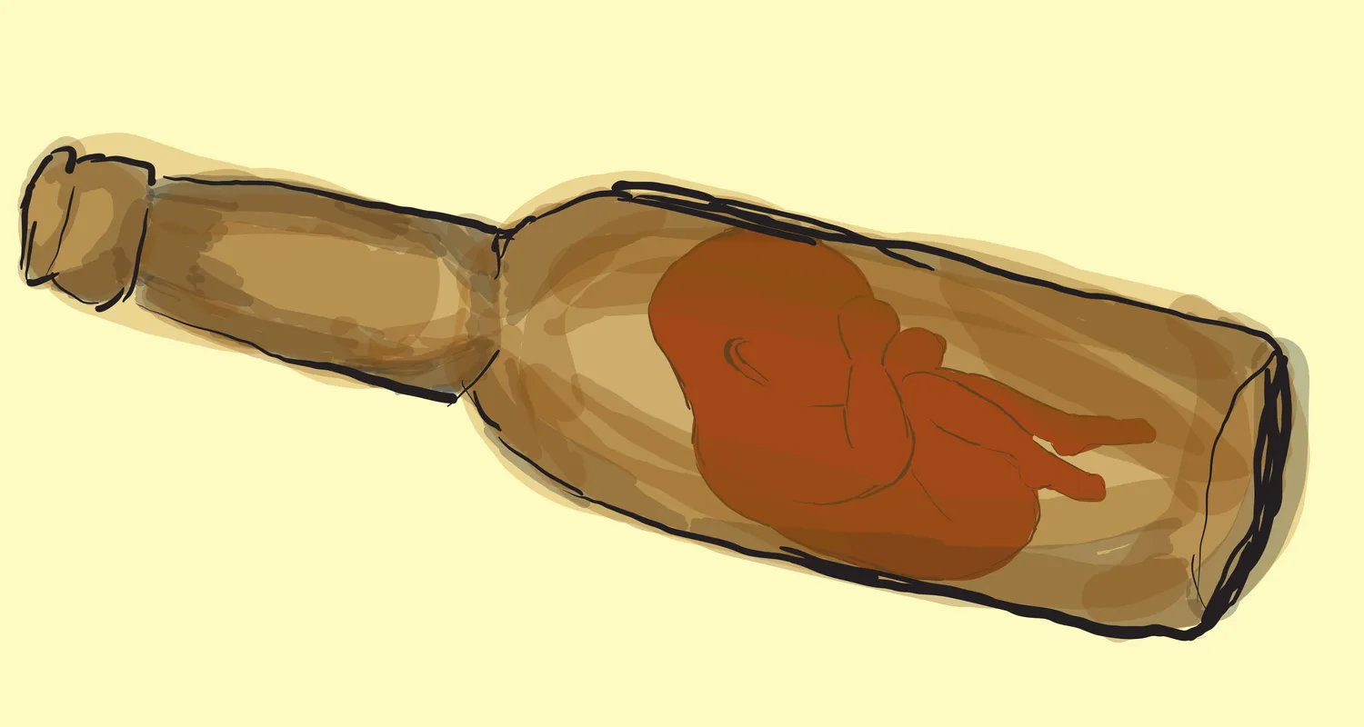 Ilustracja do tekstu