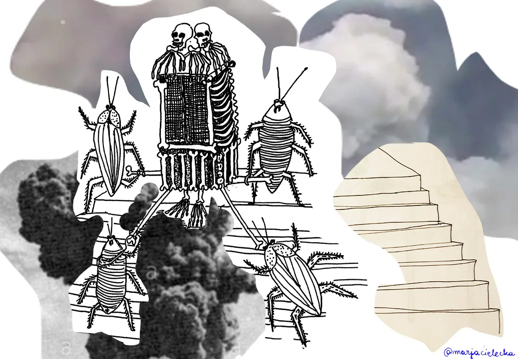 Ilustracja do tekstu