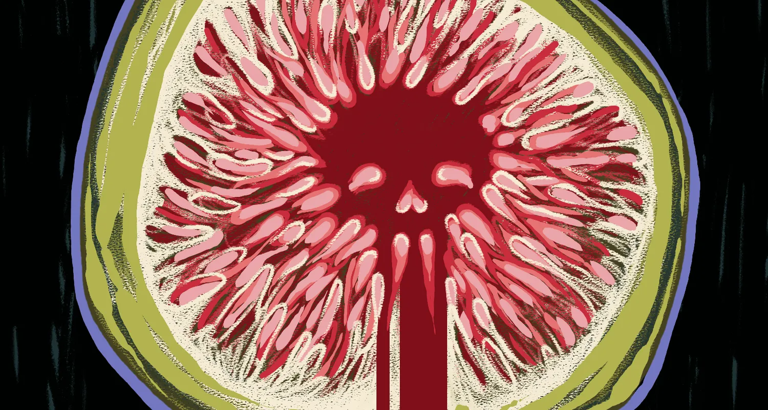Ilustracja do tekstu