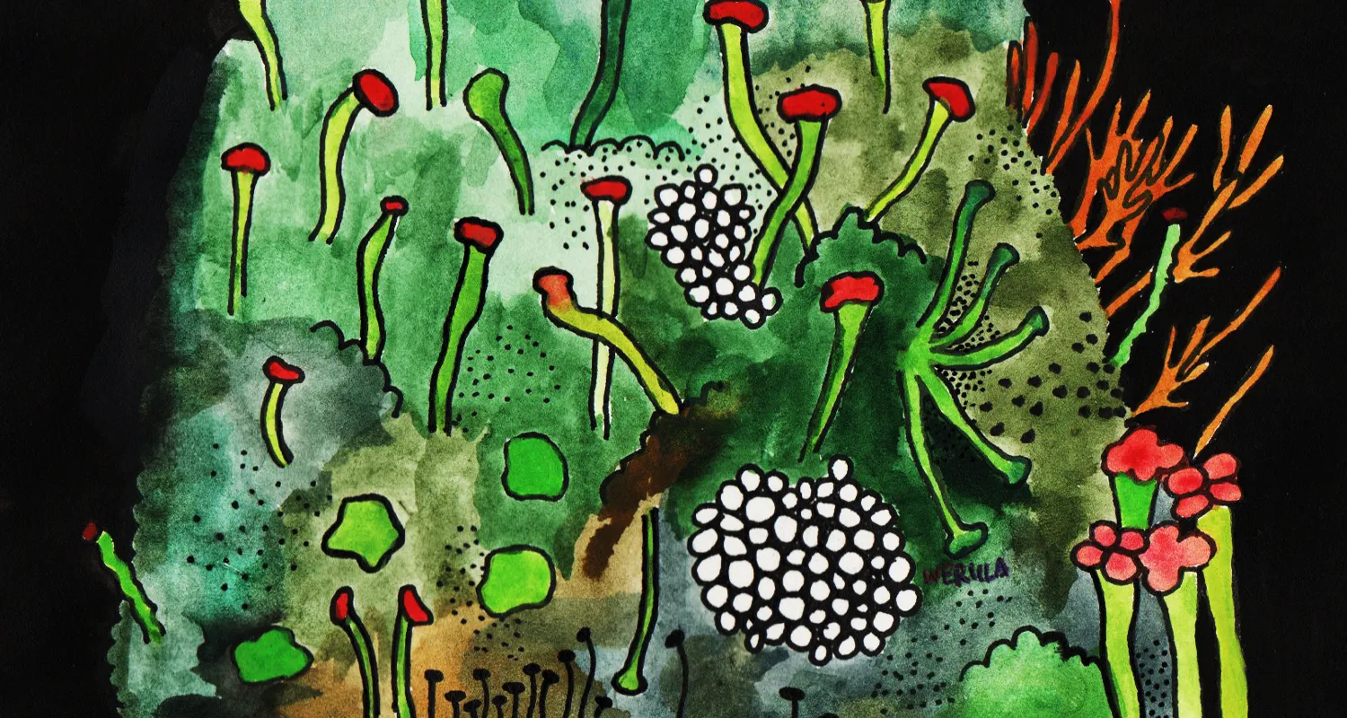 Ilustracja do tekstu
