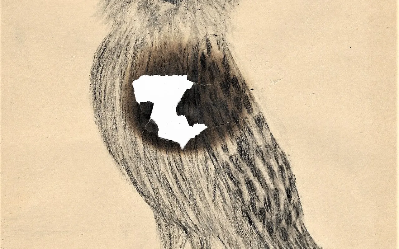 Ilustracja do tekstu